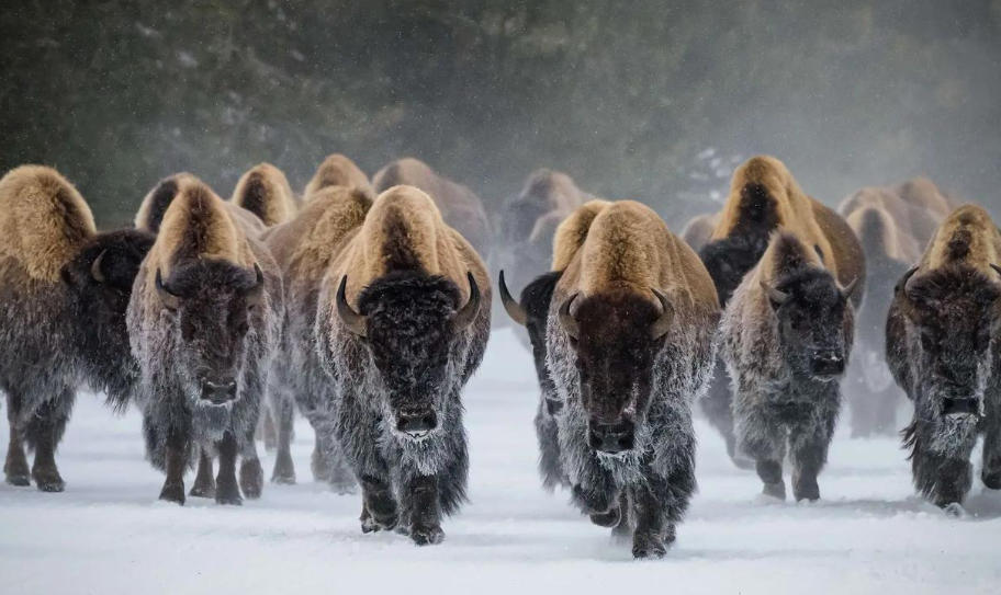 瑞安市帝客卫浴有限公司轮播图2