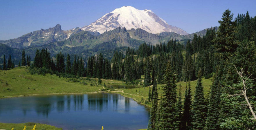 瑞安市帝客卫浴有限公司轮播图1